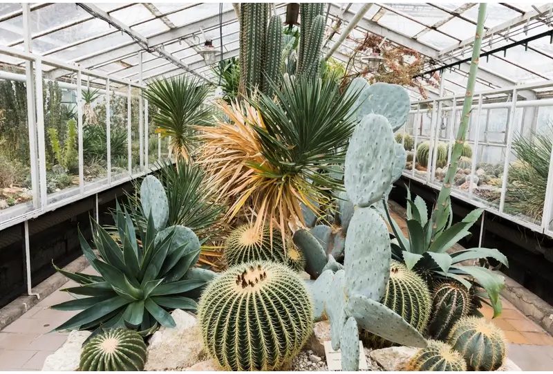 Best Places to Propose in Cleveland: Greenhouse oasis