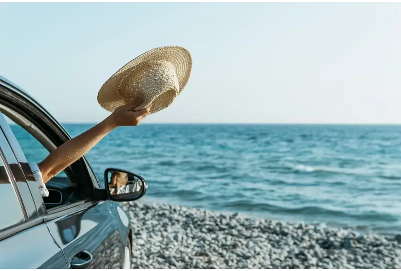 How to See Corolla Wild Horses for Free? : Drive on the beach