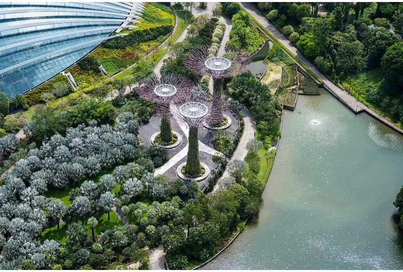 Singapore Good Place to Visit: Gardens by the bay