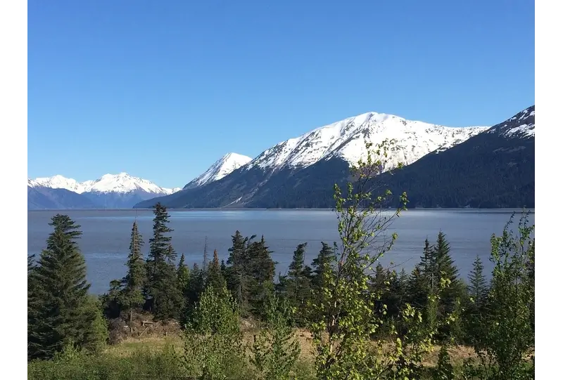 How to Get from Whittier Alaska to Anchorage: Bird Point