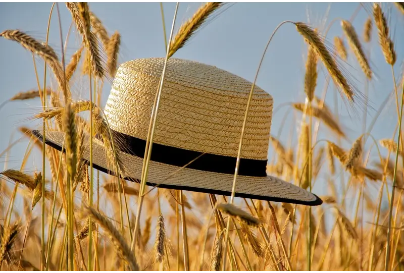 How to Pack a Hat in Your Luggage: Materials to consider