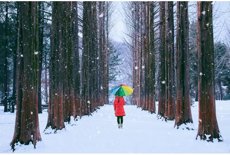How to Get to Jasper Canada: Weather of canada