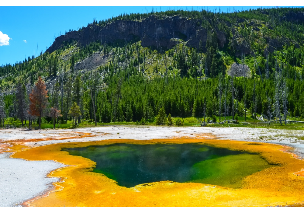 How to Visit Yellowstone on a Budget