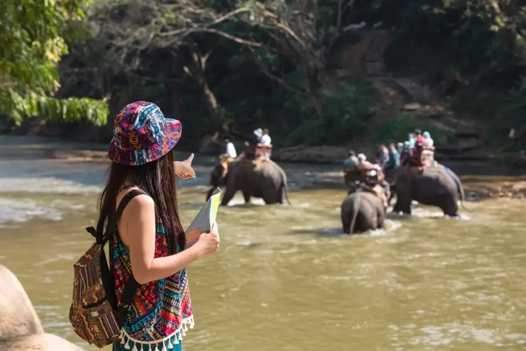 Eco Travel Guides And Tips: Responsible Wildlife Tourism