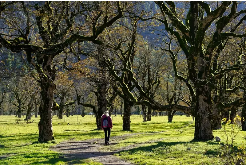 How to Get around Martha’s Vineyard: Walking Trails