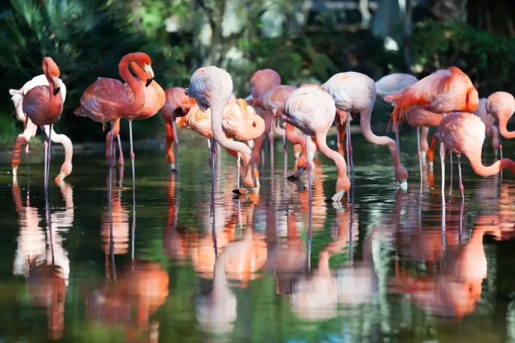 Beautiful Places in Bali: Safari and Marine Park